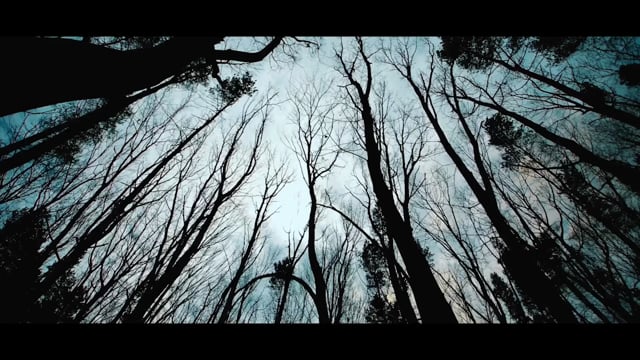 Video background